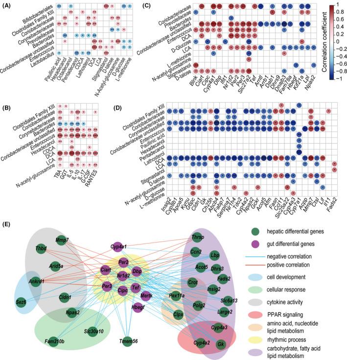 https://cdn.ncbi.nlm.nih.gov/pmc/blobs/cdce/8719798/11b4029d70e9/MBT2-15-247-g006.jpg