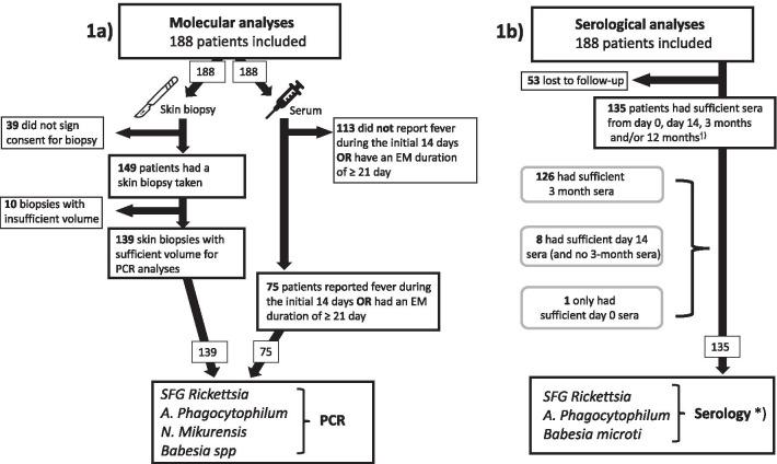 https://cdn.ncbi.nlm.nih.gov/pmc/blobs/cdd2/8501555/ed525011fad2/12879_2021_6755_Fig1_HTML.jpg