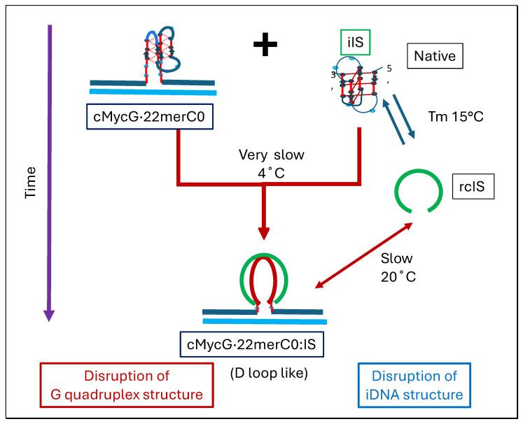 https://cdn.ncbi.nlm.nih.gov/pmc/blobs/cdd4/11673204/c2b98218db81/biomolecules-14-01532-ch002.jpg