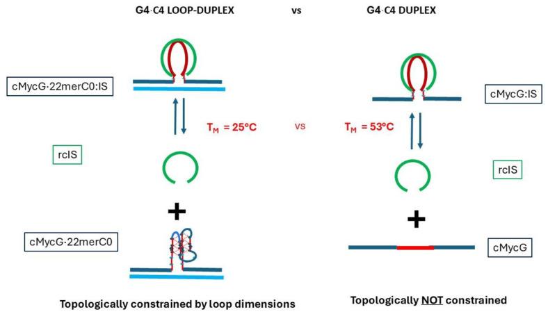 https://cdn.ncbi.nlm.nih.gov/pmc/blobs/cdd4/11673204/c344ff2b1545/biomolecules-14-01532-ch004.jpg