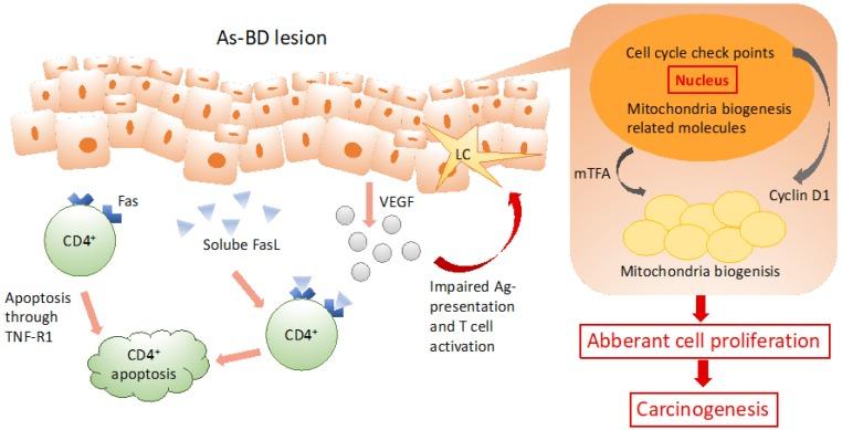 https://cdn.ncbi.nlm.nih.gov/pmc/blobs/cdd4/6696092/2a9ba1709045/ijerph-16-02746-g001.jpg