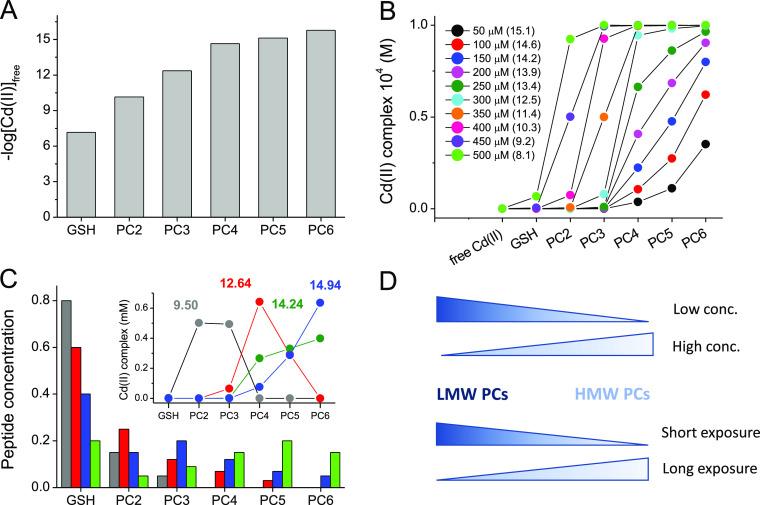 https://cdn.ncbi.nlm.nih.gov/pmc/blobs/cdd4/8041291/9e5687576615/ic0c03639_0008.jpg