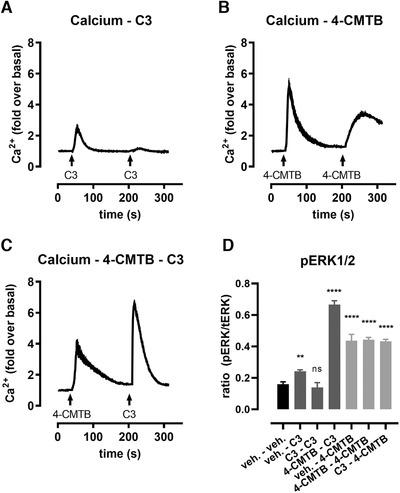 https://cdn.ncbi.nlm.nih.gov/pmc/blobs/cdd8/8048482/a81eb2f52f06/JLB-109-741-g008.jpg