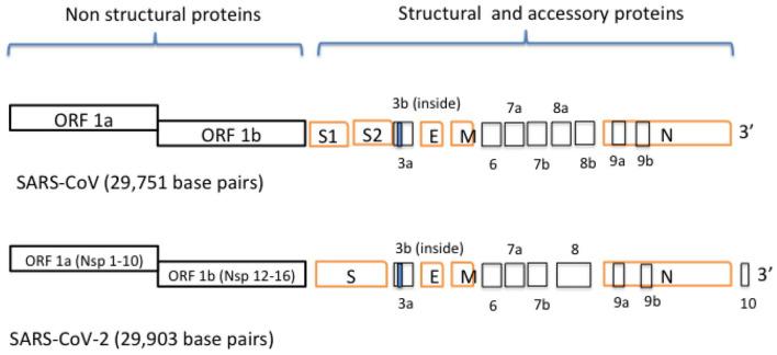 https://cdn.ncbi.nlm.nih.gov/pmc/blobs/cdd8/8221690/41fc6eb5ca68/10.1177_11779322211025876-fig1.jpg
