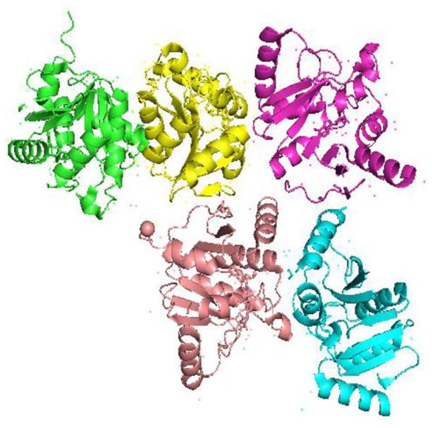 https://cdn.ncbi.nlm.nih.gov/pmc/blobs/cdd8/8221690/88cfada9da2d/10.1177_11779322211025876-fig6.jpg