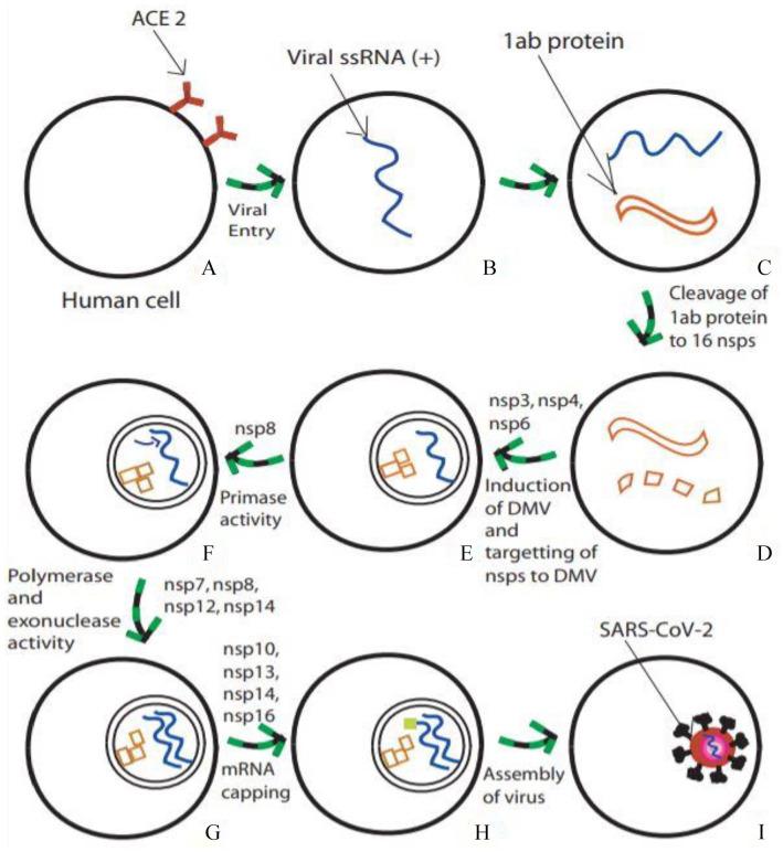 https://cdn.ncbi.nlm.nih.gov/pmc/blobs/cdd8/8221690/9185f86f6b75/10.1177_11779322211025876-fig3.jpg