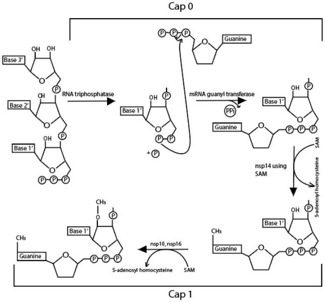 https://cdn.ncbi.nlm.nih.gov/pmc/blobs/cdd8/8221690/cc195d6171d2/10.1177_11779322211025876-fig2.jpg