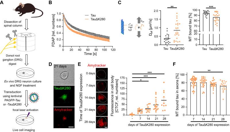 https://cdn.ncbi.nlm.nih.gov/pmc/blobs/cdd9/10891143/4633d95d240e/41467_2024_45851_Fig2_HTML.jpg