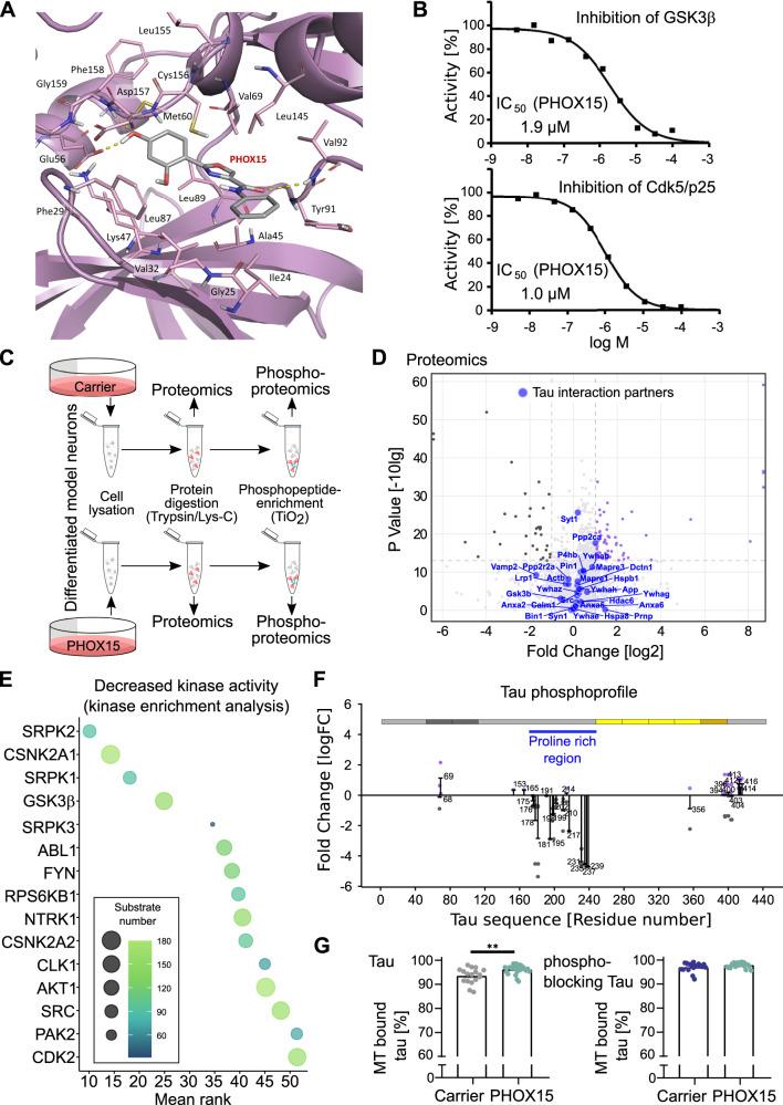 https://cdn.ncbi.nlm.nih.gov/pmc/blobs/cdd9/10891143/88271d536f04/41467_2024_45851_Fig6_HTML.jpg