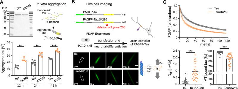 https://cdn.ncbi.nlm.nih.gov/pmc/blobs/cdd9/10891143/8acdae4a2d46/41467_2024_45851_Fig1_HTML.jpg