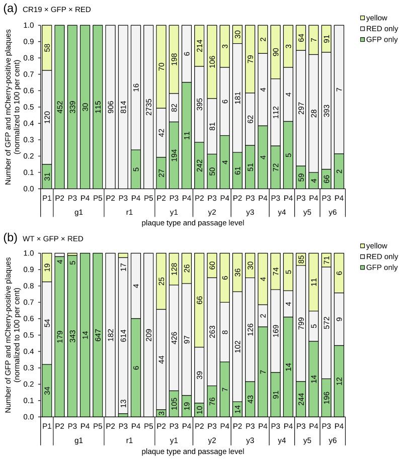 https://cdn.ncbi.nlm.nih.gov/pmc/blobs/cdd9/11680203/7d4d4f701e7d/vaccines-12-01377-g002.jpg