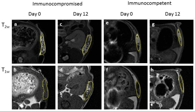 https://cdn.ncbi.nlm.nih.gov/pmc/blobs/cddc/6787680/7defc43130fb/jfb-10-00028-g005.jpg