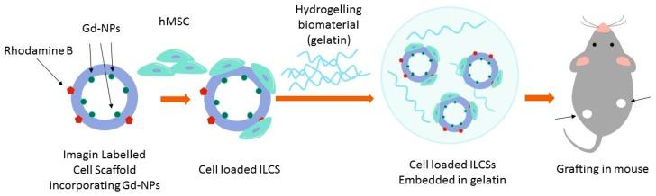 https://cdn.ncbi.nlm.nih.gov/pmc/blobs/cddc/6787680/9b54ae4ebdb2/jfb-10-00028-sch001.jpg