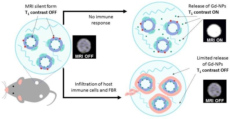 https://cdn.ncbi.nlm.nih.gov/pmc/blobs/cddc/6787680/b6c1760bfb39/jfb-10-00028-sch002.jpg
