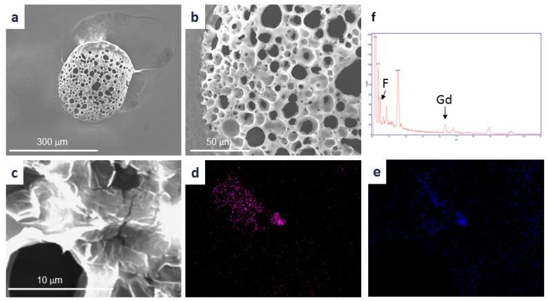 https://cdn.ncbi.nlm.nih.gov/pmc/blobs/cddc/6787680/ccab3a3aacf3/jfb-10-00028-g002.jpg