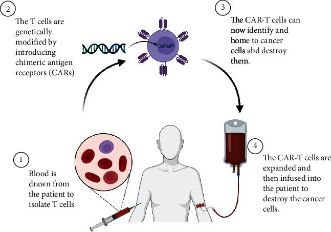 https://cdn.ncbi.nlm.nih.gov/pmc/blobs/cddd/8926542/12752ebb9d18/SCI2022-9589600.002.jpg