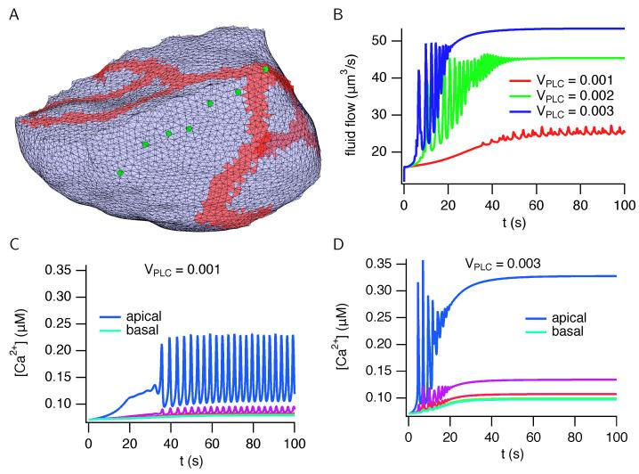 https://cdn.ncbi.nlm.nih.gov/pmc/blobs/cddd/9599163/28b9020f6cab/biomolecules-12-01455-g008.jpg