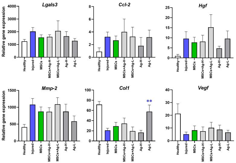 https://cdn.ncbi.nlm.nih.gov/pmc/blobs/cddf/12285939/8bf5eb991643/jox-15-00119-g006.jpg