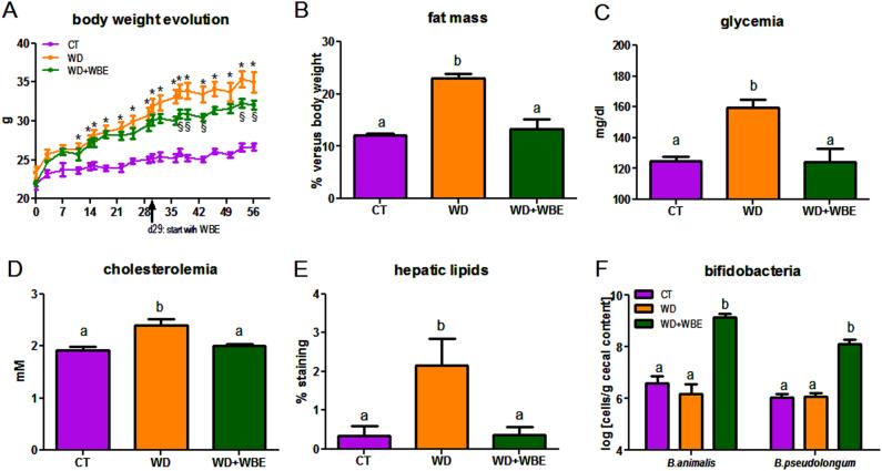https://cdn.ncbi.nlm.nih.gov/pmc/blobs/cddf/5856735/9a6a33d74ea9/41387_2018_19_Fig1_HTML.jpg