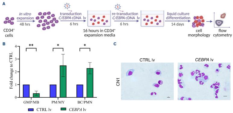 https://cdn.ncbi.nlm.nih.gov/pmc/blobs/cde0/11063862/21f2b4240f0c/1091393.fig4.jpg