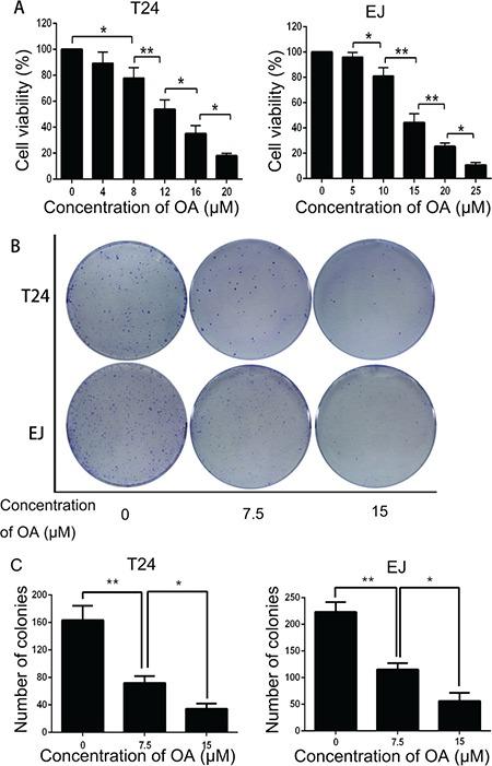 https://cdn.ncbi.nlm.nih.gov/pmc/blobs/cde0/5620226/2f97a43299d8/oncotarget-08-67942-g001.jpg