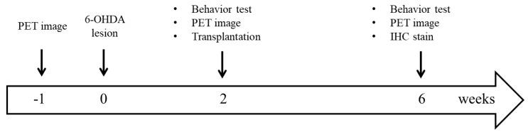 https://cdn.ncbi.nlm.nih.gov/pmc/blobs/cde0/6912403/527526d2d4ed/cells-08-01420-g001.jpg