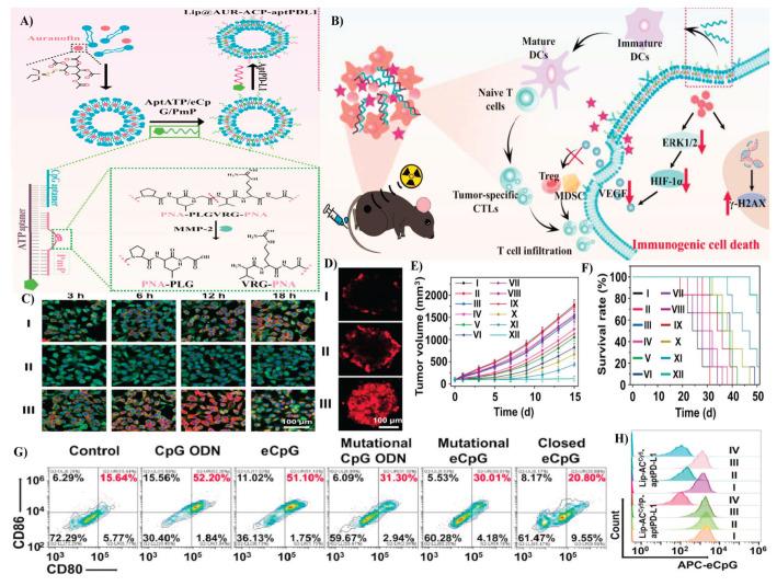https://cdn.ncbi.nlm.nih.gov/pmc/blobs/cde2/12128947/a18cead23ef4/IJB-23-e4032-g005.jpg