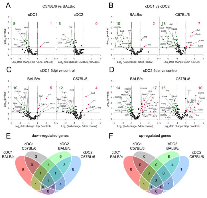 https://cdn.ncbi.nlm.nih.gov/pmc/blobs/cde4/10778474/2ff1d6e607a9/cells-13-00013-g005.jpg