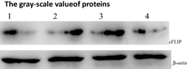 https://cdn.ncbi.nlm.nih.gov/pmc/blobs/cde4/4448485/97e0d36c93e2/tca0006-0202-f4.jpg