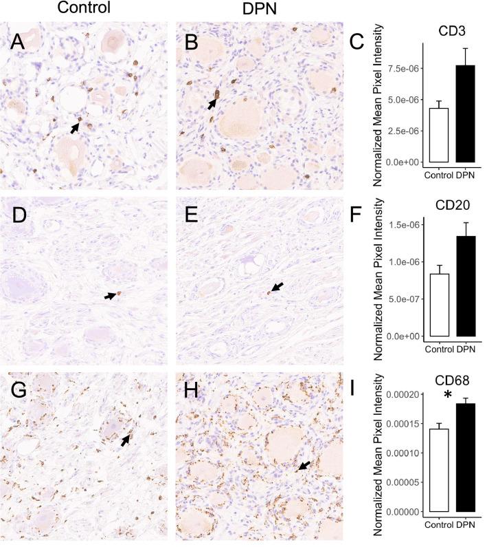 https://cdn.ncbi.nlm.nih.gov/pmc/blobs/cde5/8933403/44cb1208a1db/41598_2022_8100_Fig7_HTML.jpg