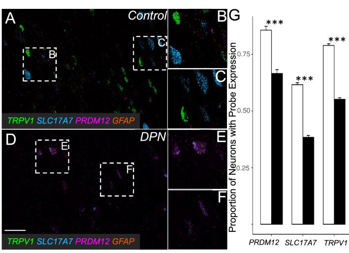 https://cdn.ncbi.nlm.nih.gov/pmc/blobs/cde5/8933403/a64fa4a5f9e8/41598_2022_8100_Fig5_HTML.jpg
