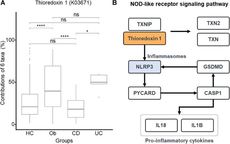 https://cdn.ncbi.nlm.nih.gov/pmc/blobs/cde6/11264842/232bf44c4a5c/12866_2024_3425_Fig4_HTML.jpg