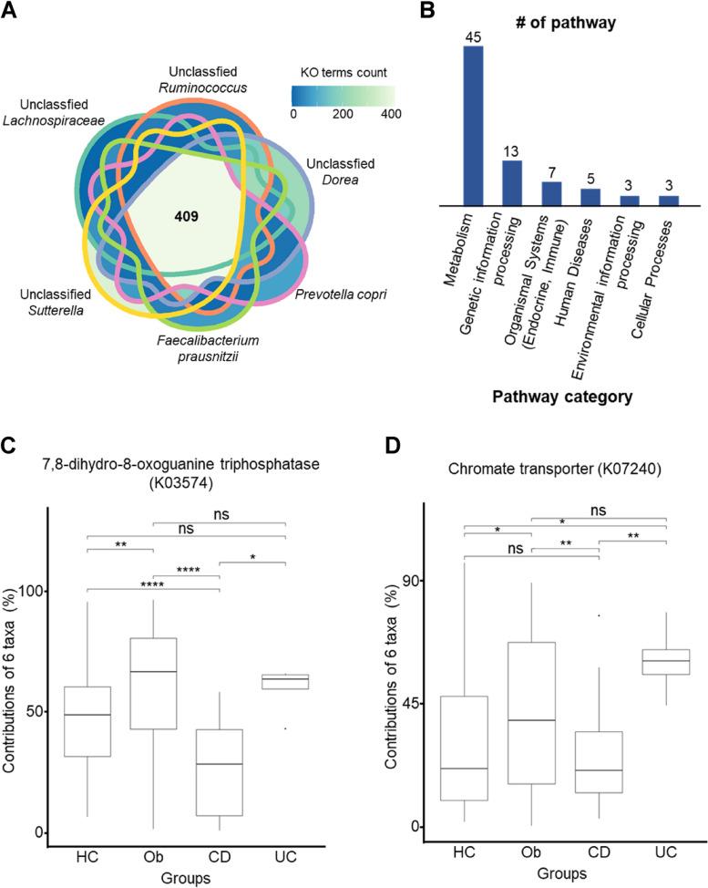https://cdn.ncbi.nlm.nih.gov/pmc/blobs/cde6/11264842/c29e44d7f0b9/12866_2024_3425_Fig3_HTML.jpg