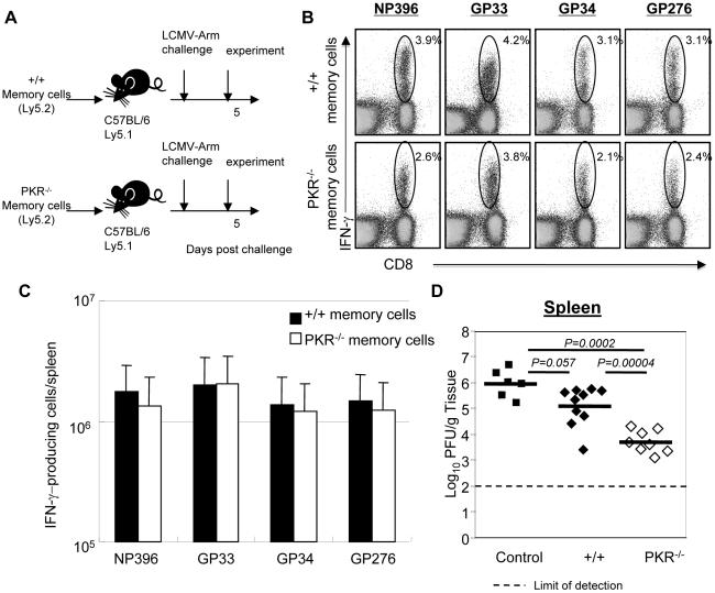https://cdn.ncbi.nlm.nih.gov/pmc/blobs/cde8/2891951/1a4697425ee0/ppat.1000966.g007.jpg
