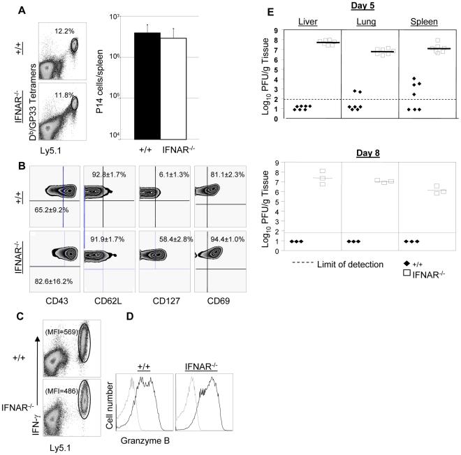 https://cdn.ncbi.nlm.nih.gov/pmc/blobs/cde8/2891951/4a386c16c299/ppat.1000966.g009.jpg