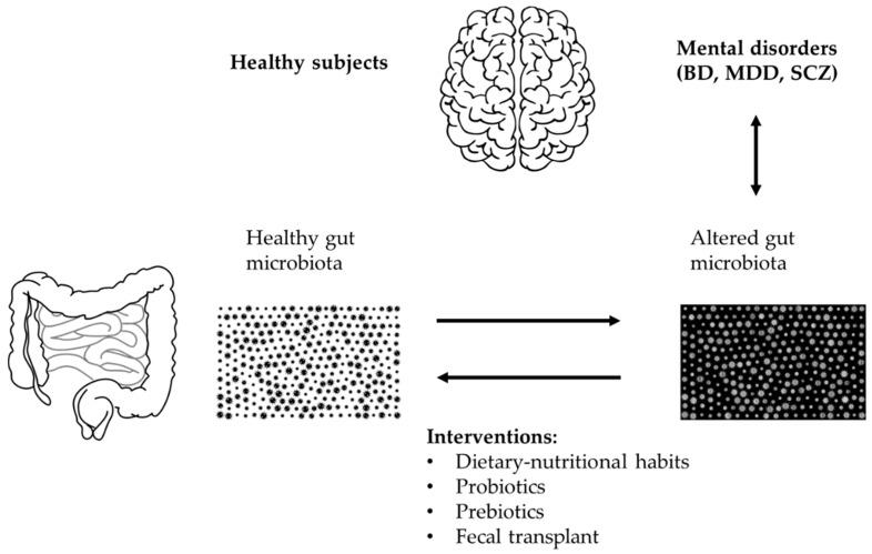 https://cdn.ncbi.nlm.nih.gov/pmc/blobs/cdec/8038247/556031c68602/ijms-22-03723-g002.jpg