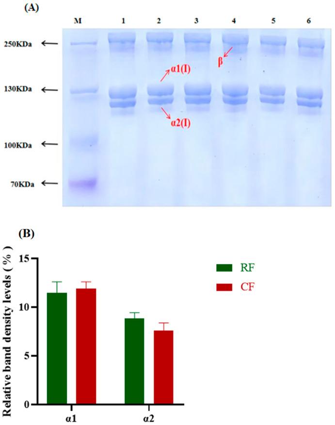 https://cdn.ncbi.nlm.nih.gov/pmc/blobs/cded/11431557/8088e83e5164/foods-13-02901-g002.jpg