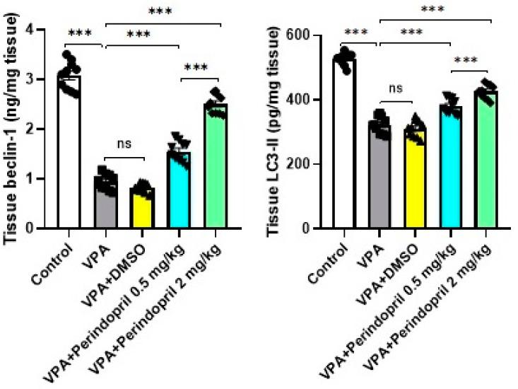 https://cdn.ncbi.nlm.nih.gov/pmc/blobs/cded/11596946/1a31505c01b8/medicina-60-01802-g012.jpg