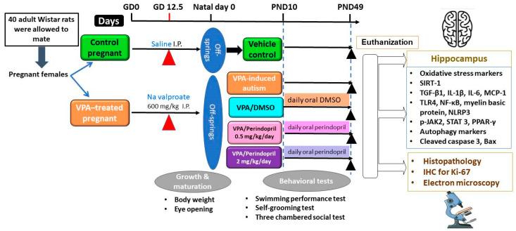 https://cdn.ncbi.nlm.nih.gov/pmc/blobs/cded/11596946/d858684d0ad9/medicina-60-01802-g001.jpg