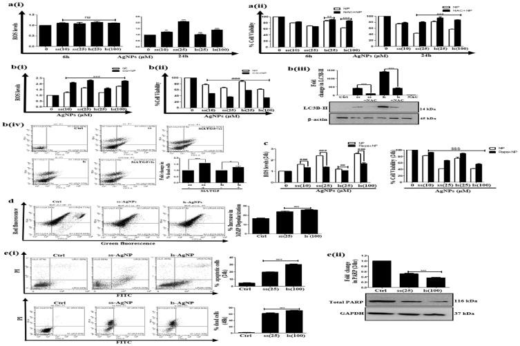 https://cdn.ncbi.nlm.nih.gov/pmc/blobs/cded/6875509/b37e338efa60/IJN-14-9063-g0008.jpg