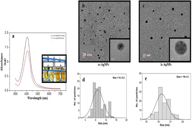 https://cdn.ncbi.nlm.nih.gov/pmc/blobs/cded/6875509/f535d6dc9a5f/IJN-14-9063-g0001.jpg