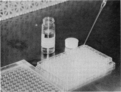 https://cdn.ncbi.nlm.nih.gov/pmc/blobs/cdee/1298601/d8b13febe0d4/taos00011-0599-a.jpg