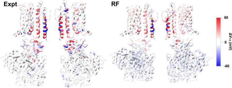 https://cdn.ncbi.nlm.nih.gov/pmc/blobs/cdf3/10529646/454c4d127bf8/pcbi.1011460.g004.jpg
