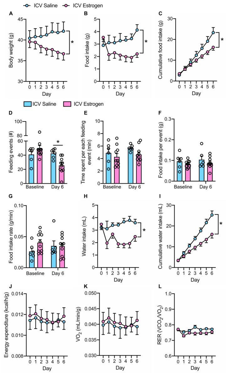 https://cdn.ncbi.nlm.nih.gov/pmc/blobs/cdf3/9599293/e67216734c15/brainsci-12-01324-g002.jpg