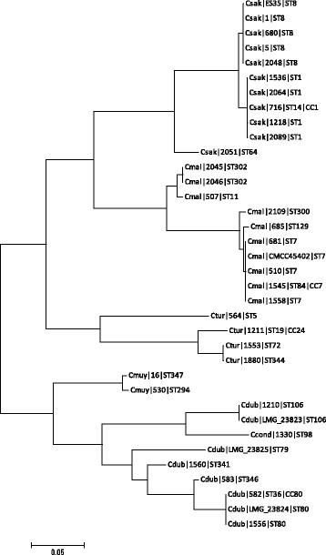 https://cdn.ncbi.nlm.nih.gov/pmc/blobs/cdf4/4599207/55045c69eb22/12864_2015_1960_Fig5_HTML.jpg
