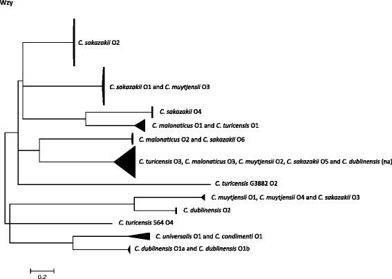https://cdn.ncbi.nlm.nih.gov/pmc/blobs/cdf4/4599207/b465f59a8a4b/12864_2015_1960_Fig1_HTML.jpg
