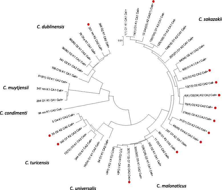 https://cdn.ncbi.nlm.nih.gov/pmc/blobs/cdf4/4599207/c270ce32841d/12864_2015_1960_Fig7_HTML.jpg