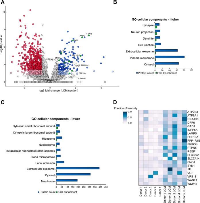 https://cdn.ncbi.nlm.nih.gov/pmc/blobs/cdf4/7196589/1729d99734da/zjw0042061130002.jpg