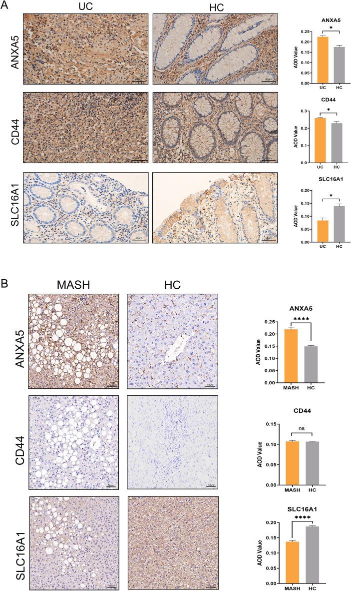 https://cdn.ncbi.nlm.nih.gov/pmc/blobs/cdf5/11237055/5732916078c3/41598_2024_66574_Fig11_HTML.jpg