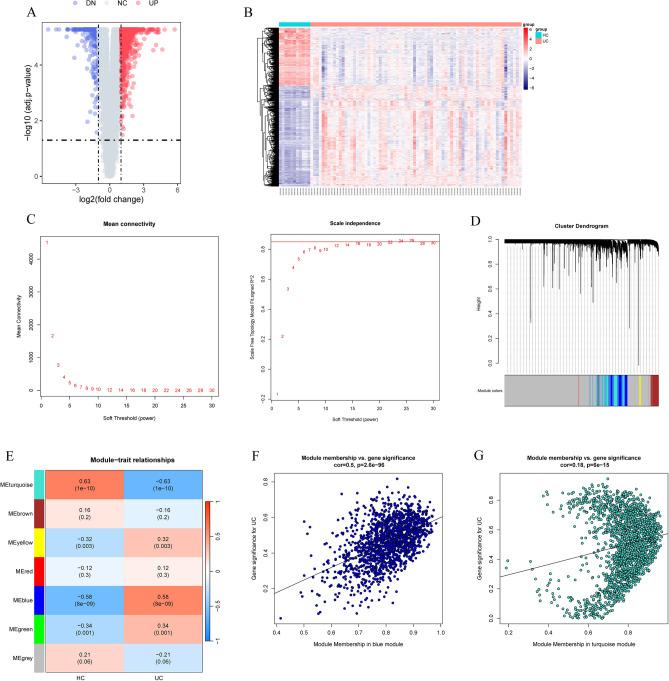 https://cdn.ncbi.nlm.nih.gov/pmc/blobs/cdf5/11237055/ba5004f5f289/41598_2024_66574_Fig1_HTML.jpg